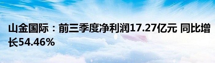 山金国际：前三季度净利润17.27亿元 同比增长54.46%