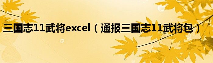 三国志11武将excel（通报三国志11武将包）