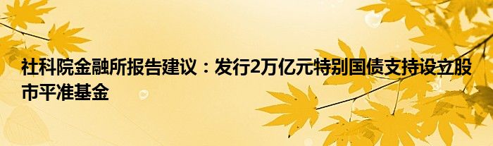 社科院
所报告建议：发行2万亿元特别国债支持设立股市平准基金