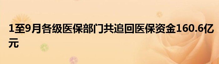 1至9月各级医保部门共追回医保资金160.6亿元