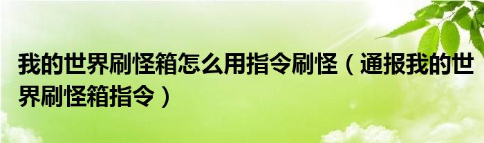 我的世界刷怪箱怎么用指令刷怪（通报我的世界刷怪箱指令）