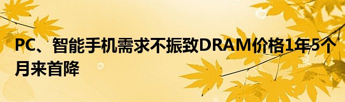 PC、智能手机需求不振致DRAM价格1年5个月来首降