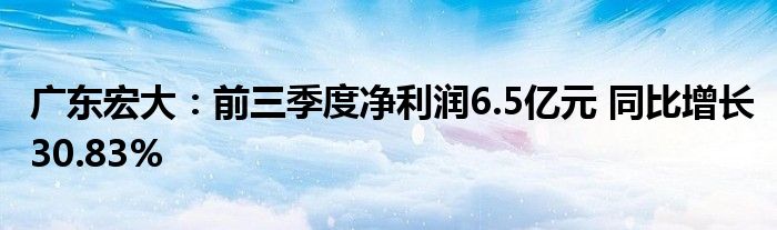 广东宏大：前三季度净利润6.5亿元 同比增长30.83%