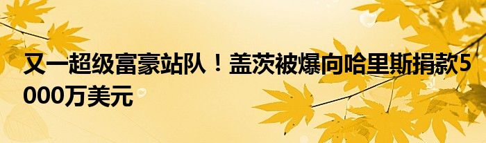 又一超级富豪站队！盖茨被爆向哈里斯捐款5000万美元