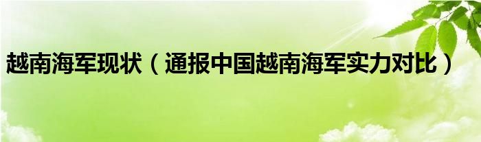 越南海军现状（通报中国越南海军实力对比）