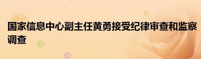 国家信息中心副主任黄勇接受纪律审查和监察调查