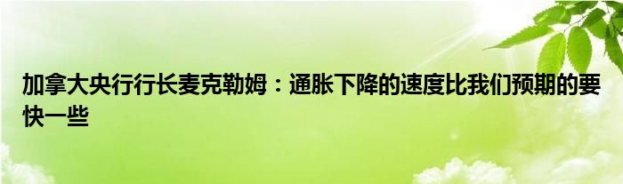 加拿大央行行长麦克勒姆：通胀下降的速度比我们预期的要快一些