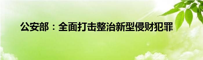 公安部：全面打击整治新型侵财犯罪