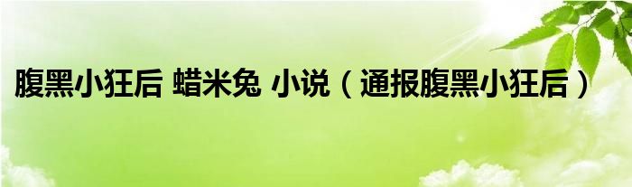 腹黑小狂后 蜡米兔 小说（通报腹黑小狂后）