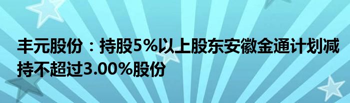 丰元股份：持股5%以上股东安徽金通计划减持不超过3.00%股份