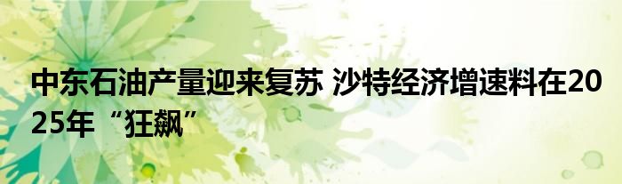 中东石油产量迎来复苏 沙特经济增速料在2025年“狂飙”