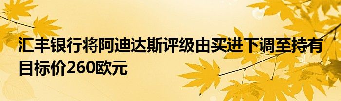 汇丰银行将阿迪达斯评级由买进下调至持有 目标价260欧元