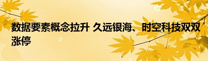 数据要素概念拉升 久远银海、时空科技双双涨停