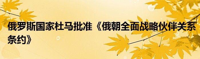 俄罗斯国家杜马批准《俄朝全面战略伙伴关系条约》