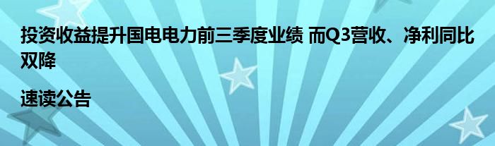 投资收益提升国电电力前三季度业绩 而Q3营收、净利同比双降|速读公告