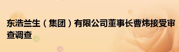 东浩兰生（集团）有限公司董事长曹炜接受审查调查