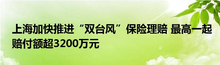 上海加快推进“双台风”保险理赔 最高一起赔付额超3200万元