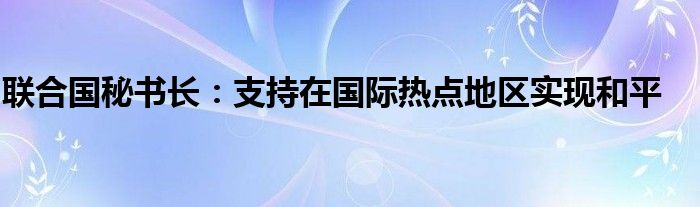 联合国秘书长：支持在国际热点地区实现和平