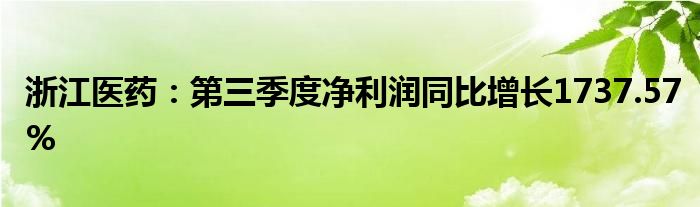 浙江医药：第三季度净利润同比增长1737.57%