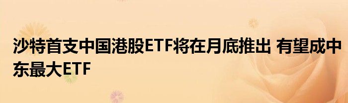 沙特首支中国港股ETF将在月底推出 有望成中东最大ETF