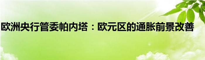 欧洲央行管委帕内塔：欧元区的通胀前景改善