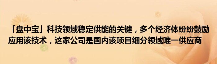 「盘中宝」科技领域稳定供能的关键，多个经济体纷纷鼓励应用该技术，这家公司是国内该项目细分领域唯一供应商