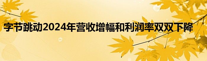 字节跳动2024年营收增幅和利润率双双下降