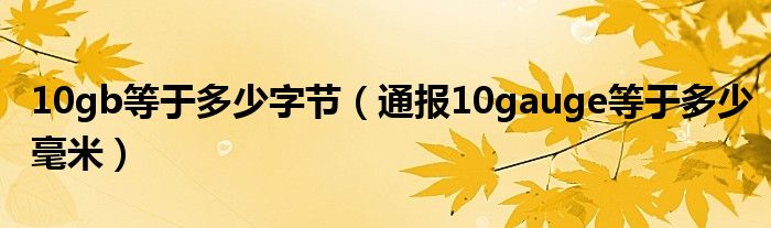 10gb等于多少字节（通报10gauge等于多少毫米）