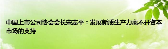 中国上市公司协会会长宋志平：发展新质生产力离不开资本市场的支持