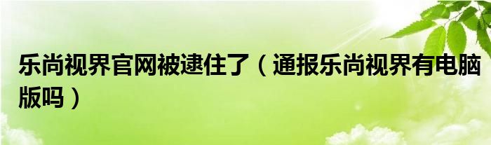 乐尚视界官网被逮住了（通报乐尚视界有电脑版吗）