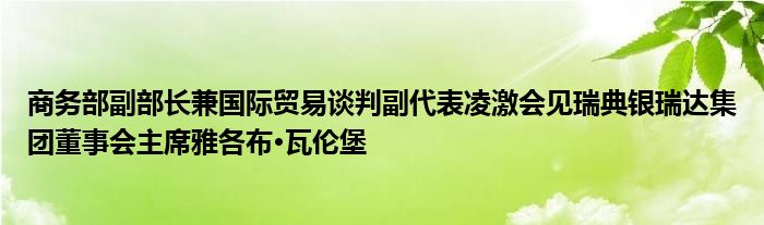 商务部副部长兼国际贸易谈判副代表凌激会见瑞典银瑞达集团董事会主席雅各布·瓦伦堡