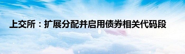 上交所：扩展分配并启用债券相关代码段