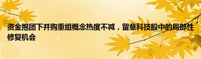 资金抱团下并购重组概念热度不减，留意科技股中的局部性修复机会