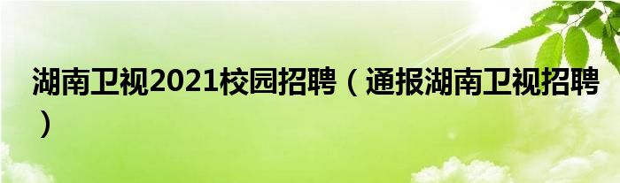 湖南卫视2021校园招聘（通报湖南卫视招聘）