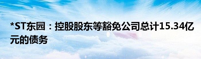 *ST东园：控股股东等豁免公司总计15.34亿元的债务