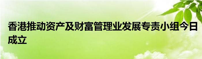 香港推动资产及财富管理业发展专责小组今日成立