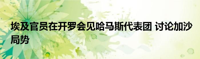 埃及官员在开罗会见哈马斯代表团 讨论加沙局势