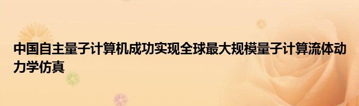 中国自主量子计算机成功实现全球最大规模量子计算流体动力学仿真