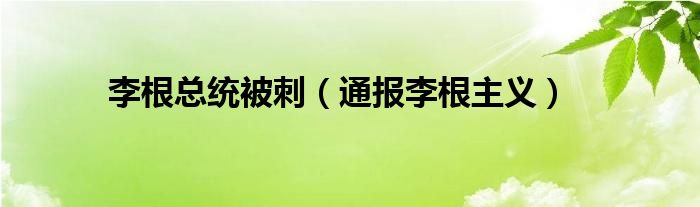 李根总统被刺（通报李根主义）