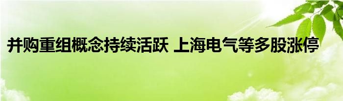 并购重组概念持续活跃 上海电气等多股涨停