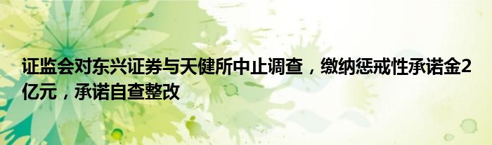 证监会对东兴证券与天健所中止调查，缴纳惩戒性承诺金2亿元，承诺自查整改