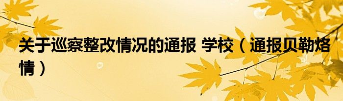 关于巡察整改情况的通报 学校（通报贝勒烙情）