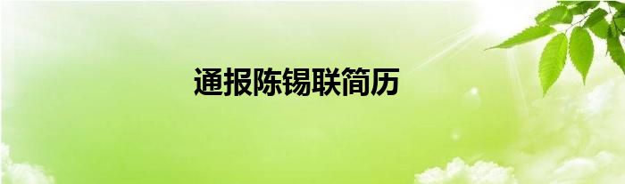 通报陈锡联简历