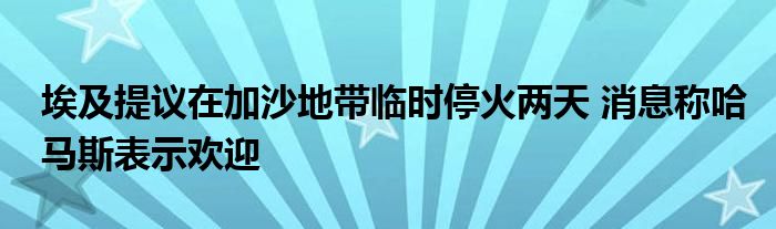 埃及提议在加沙地带临时停火两天 消息称哈马斯表示欢迎