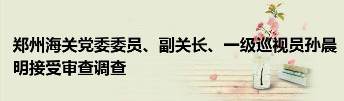 郑州海关党委委员、副关长、一级巡视员孙晨明接受审查调查