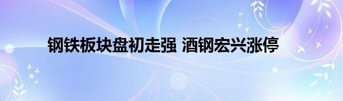 钢铁板块盘初走强 酒钢宏兴涨停