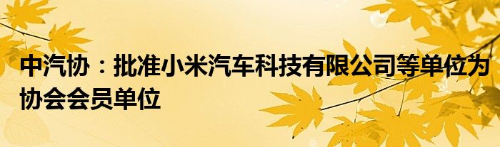 中汽协：批准小米汽车科技有限公司等单位为协会会员单位