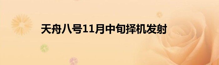 天舟八号11月中旬择机发射