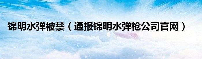 锦明水弹被禁（通报锦明水弹枪公司官网）