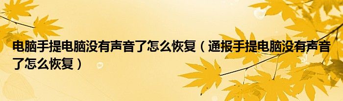 电脑手提电脑没有声音了怎么恢复（通报手提电脑没有声音了怎么恢复）